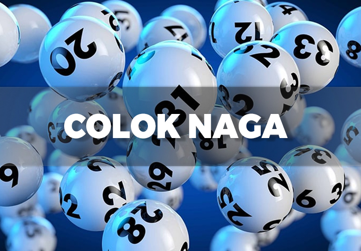 Cara Bermain Colok Naga dari 4D