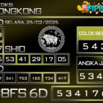 PREDIKSI HONGKONG LOTTO 25 FEBRUARI 2025